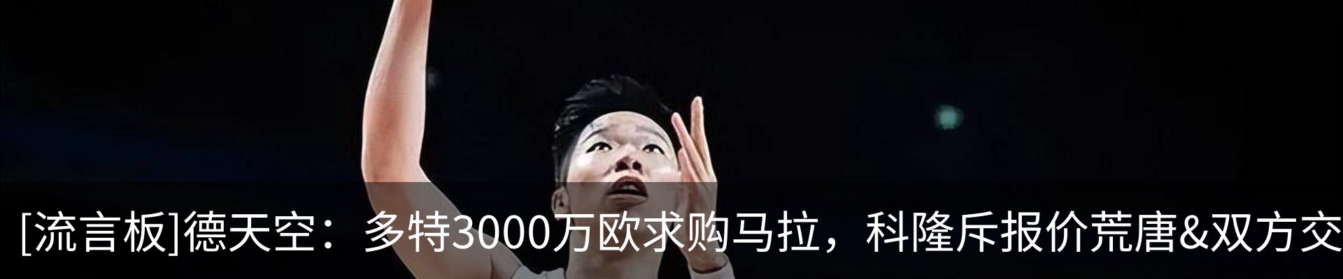 最新动态
